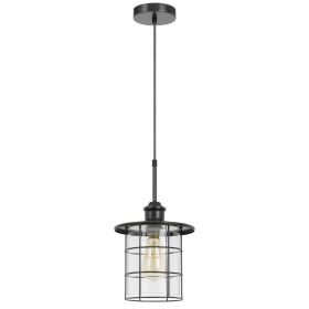 60W Silverton metal/glass pendant fixture (Edison bulbs included)