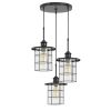 60W x 3 Silverton metal/glass pendant fixture (Edison bulbs included)