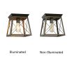 CHLOE Lighting Farmhouse-Style Two-Toned 1 Light Ceiling Flush Fixture 9" Wide