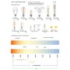 1LT Incandescent FloorLamp, AGB, WH Shade