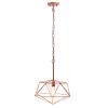 Large 16" Pendant Industrial Metal Wire Cage Hanging Ceiling 1 Light Fixture