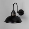 Talise Industrial Swan Neck Wall Sconce IP65