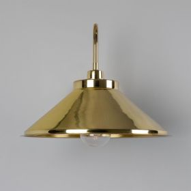 Nerissa Brass Swan Neck Wall Sconce IP65 (Option: PolishedBrass, Material: ClearGlass)