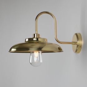 Darya Swan Neck Bathroom Wall Sconce IP65 (Option: PolishedBrass, Material: ClearGlass)