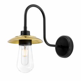 Ren Brass Swan Neck Wall Sconce IP65 (Option: MattBlack&PolBrassShade, Material: CL)