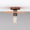 Bog Oak Organic Ceramic Disc Ceiling Light, Red Iron