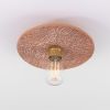 Bog Oak Organic Ceramic Disc Ceiling Light, Red Iron