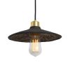 Pyrus Organic Ceramic Pendant Light 11", Black Clay