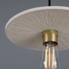 Bog Oak Organic Ceramic Disc Pendant Light, Matte White Striped